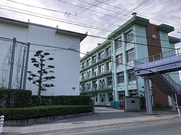 口田小学校（約850m）