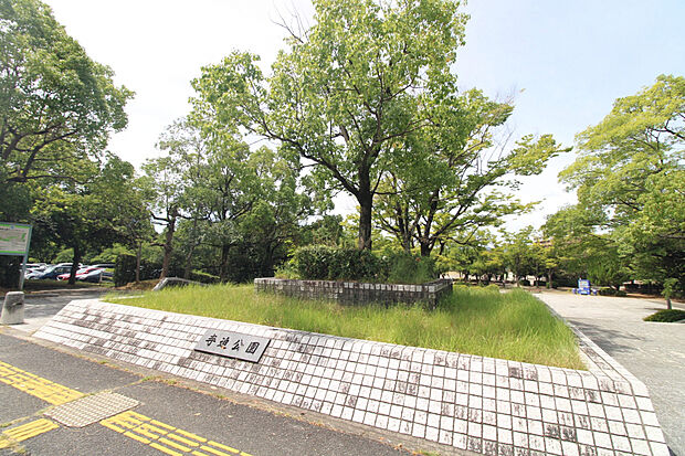 寺迫公園(約500m)