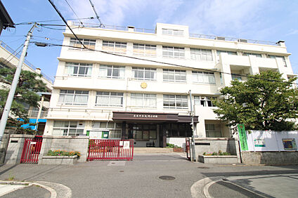 大河小学校 290m