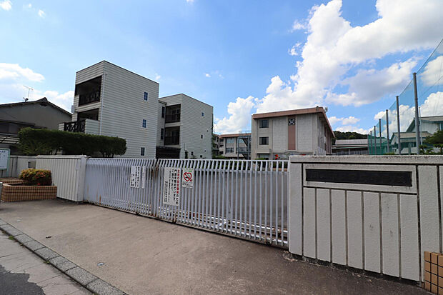 石井中学校（約1,600m）