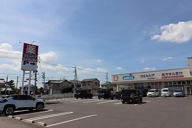 ウェルシア岡山東畦店（約1,400m）
