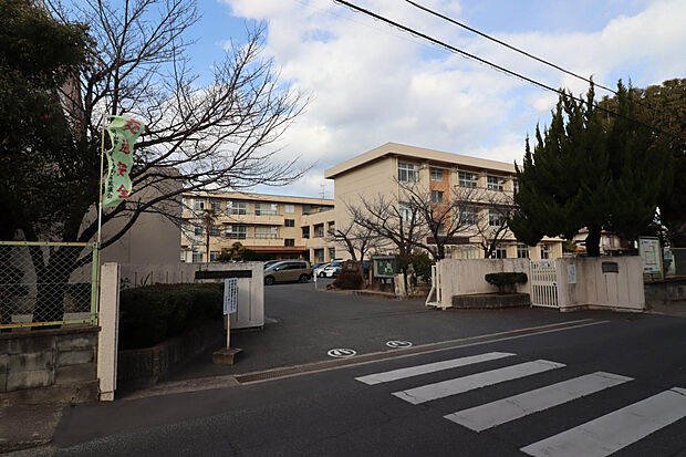 岡山市立伊島小学校（約1,230m）