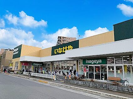 いなげや志木柏町店 800m(10分)