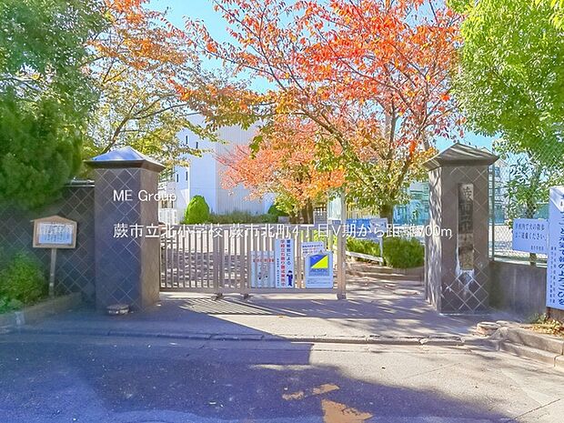 蕨市立北小学校（約700m）