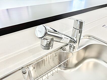 蛇口一体型浄水器