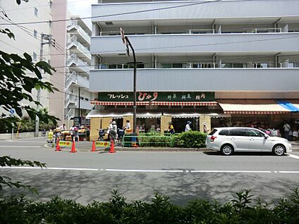 フレッシュひかり 500m