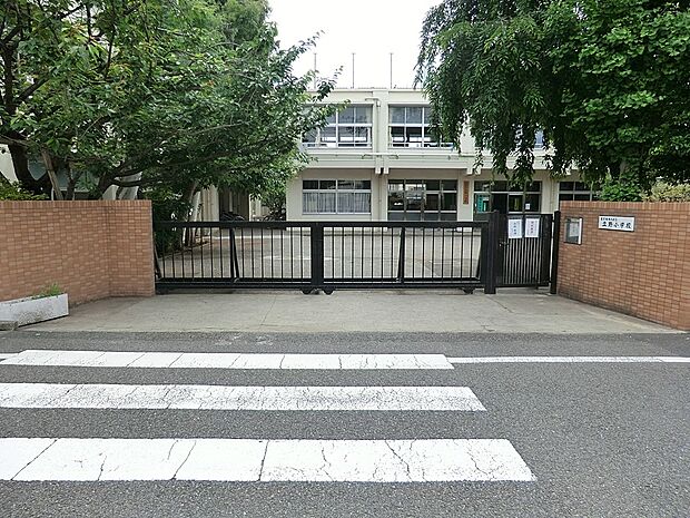 練馬区立立野小学校(約240m・徒歩3分)