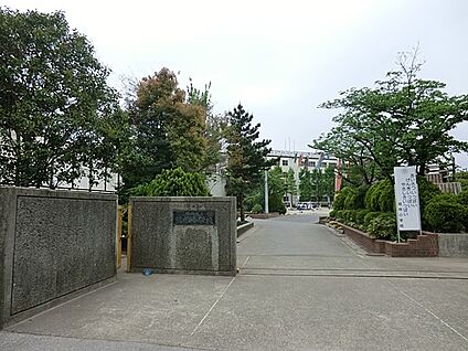 川口市立慈林小学校 800m