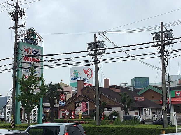 スーパーセンターオークワパームシティ和歌山店（約1,174m）