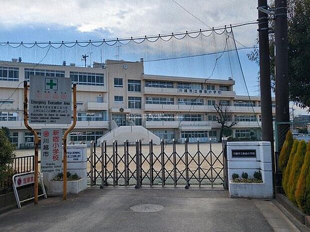 川越市立新宿小学校(約800m)