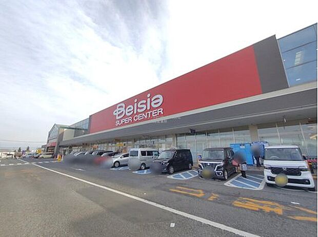 ベイシアひだかモール店(約1,388m)