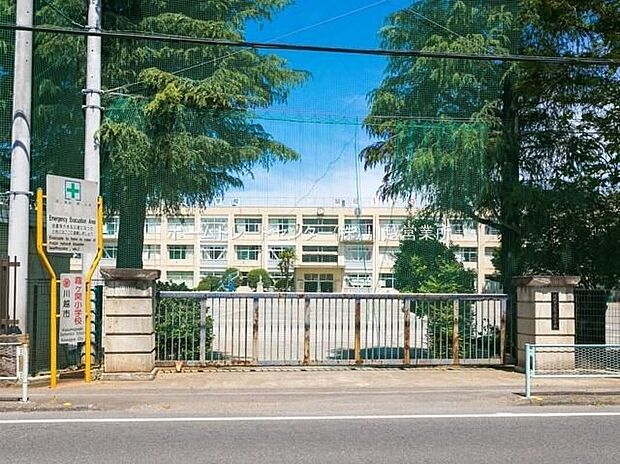 川越市立霞ケ関小学校（約700m）