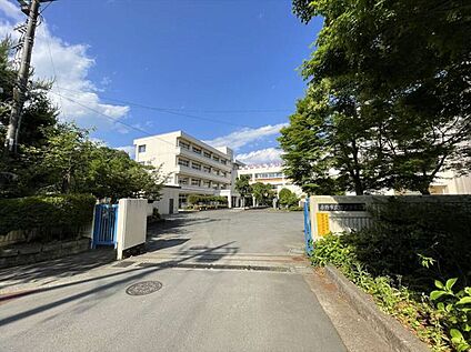 秦野市立渋沢中学校 約1,500m