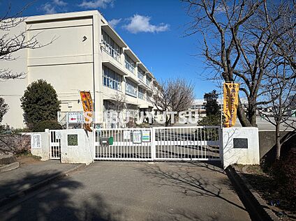 東村山市立大岱小学校 350(徒歩5分)