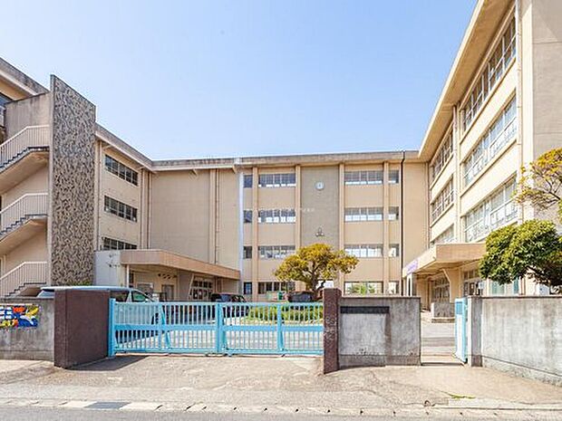 松戸市立古ケ崎小学校（約300m）