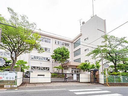 松戸市立第三中学校 500ｍ(徒歩7分)