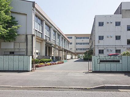 松戸市立新松戸南中学校 1100m(徒歩14分)