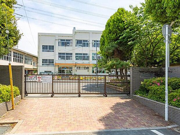 市川市立南新浜小学校（約900m）
