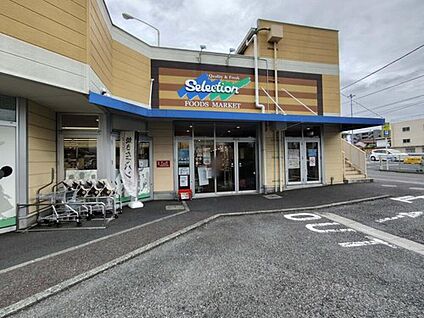 FOODS　MARKET　Selection松戸店 70ｍ(徒歩1分)