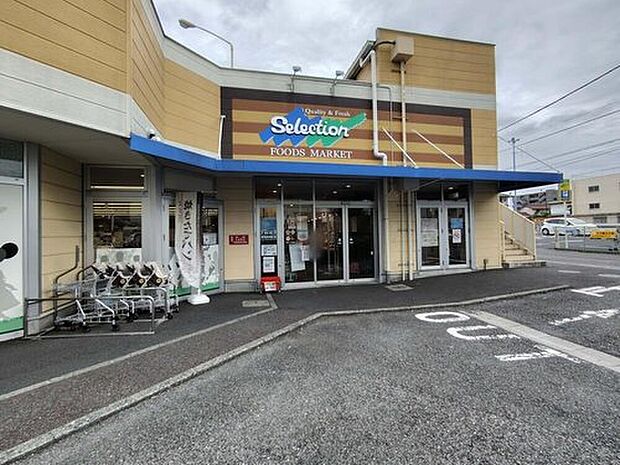 FOODS　MARKET　Selection松戸店（約70m）