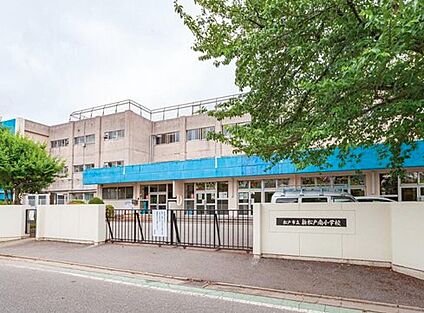 松戸市立新松戸南小学校 380m(徒歩5分)