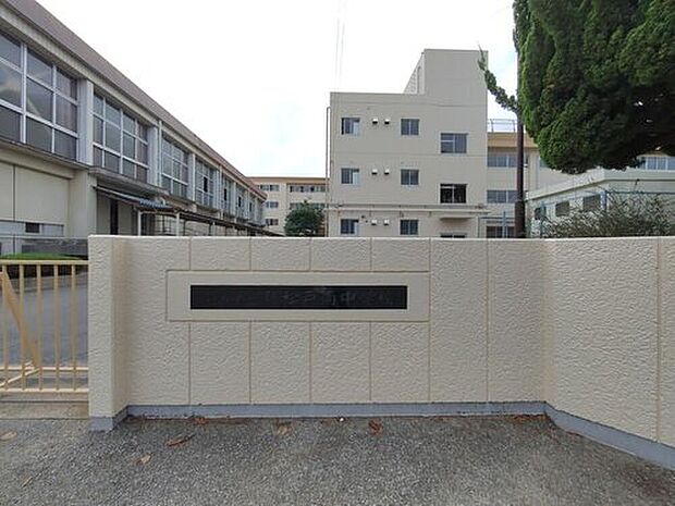 松戸市立新松戸南中学校（約400m）