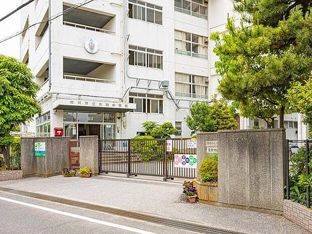 市川市立大洲中学校（約1,100m）