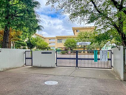 松戸市立常盤平中学校 850m(徒歩11分)