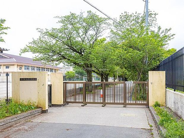 市川市立第一中学校(約1,800m)