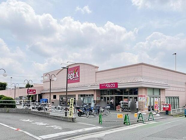 ベルクス市川堀之内店（約967m）