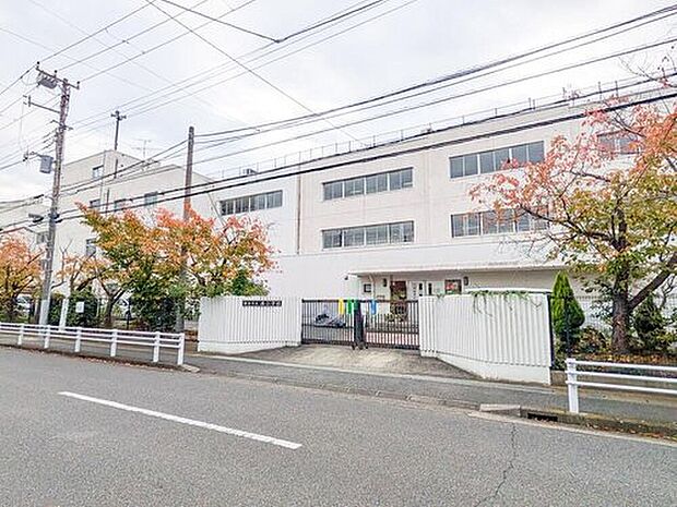 浦安市立南小学校（約450m）