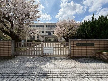 松戸市立南部小学校 1000m (徒歩13分)