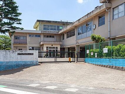 松戸市立常盤平第三小学校 850ｍ(徒歩11分)