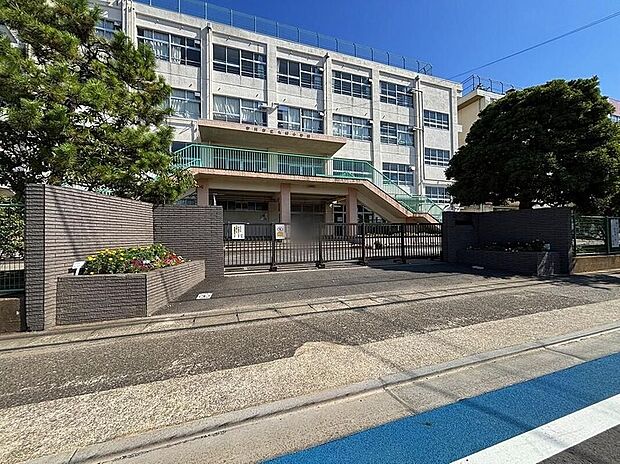 市川市立大野小学校（約650m）