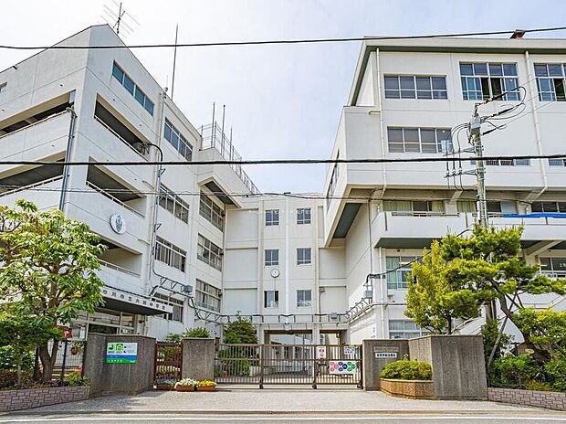 市川市立大洲中学校(約400m)