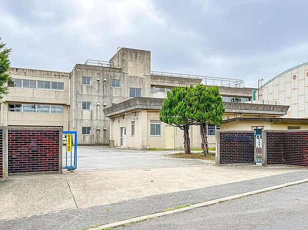 松戸市立貝の花小学校(約550m)