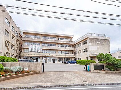 松戸市立六実中学校 800m(徒歩10分)