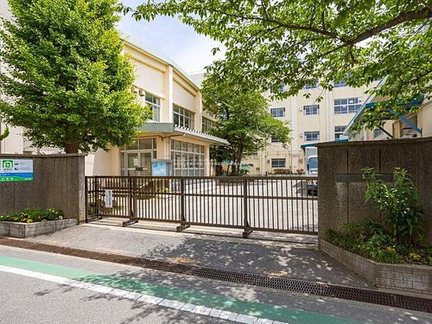 市川市立信篤小学校(約1,100m)