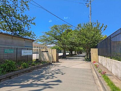 市川市立第一中学校 2000m(徒歩25分)