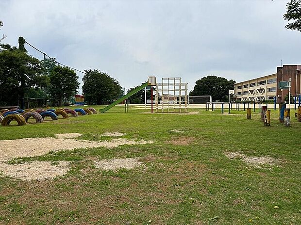 松戸市立栗ケ沢小学校(約950m)