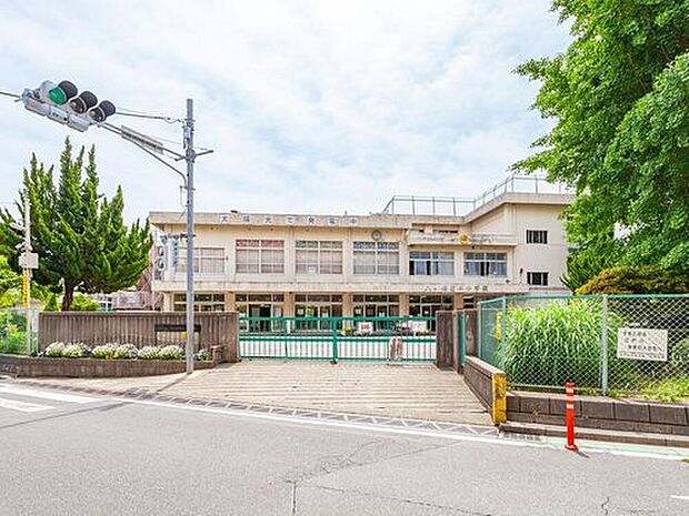 松戸市立八ケ崎第二小学校(約600m)