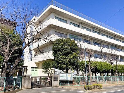 市川市立塩焼小学校 240m(徒歩3分)