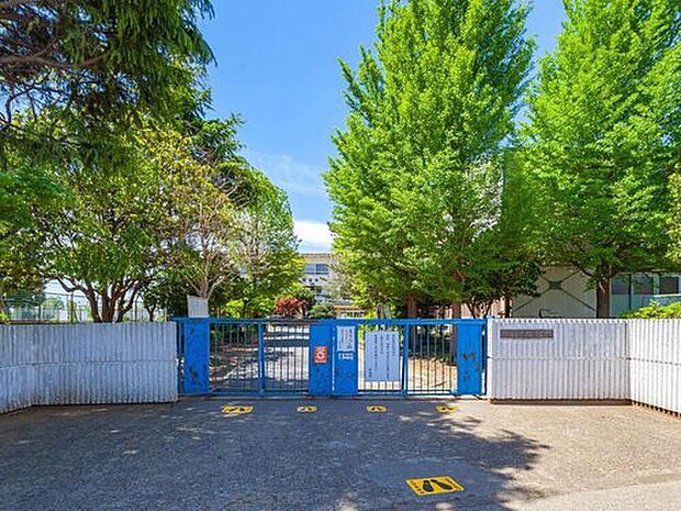 松戸市立栗ケ沢小学校(約600m)
