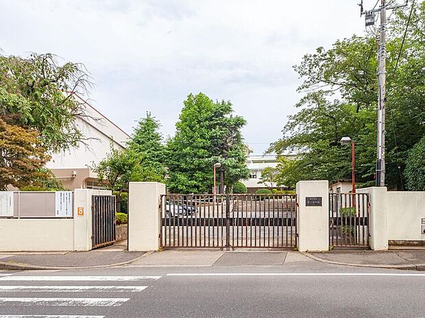 松戸市立第一中学校(約450m)