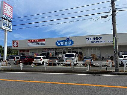 ウエルシア松戸高塚2号店 1200ｍ(徒歩15分)