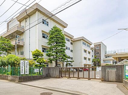 市川市立第八中学校 600m(徒歩8分)