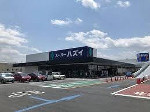 スーパーハズイ 水口店