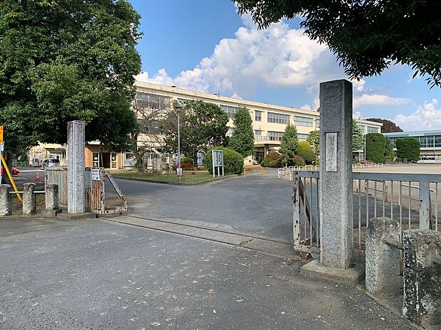 石岡市立府中小学校（約480m）