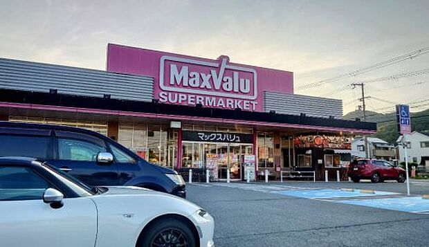 マックスバリュー龍野西店