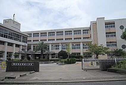 明石市立和坂小学校 徒歩300m